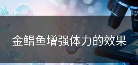金鲳鱼增强体力的效果(金鲳鱼增强体力的效果怎么样)